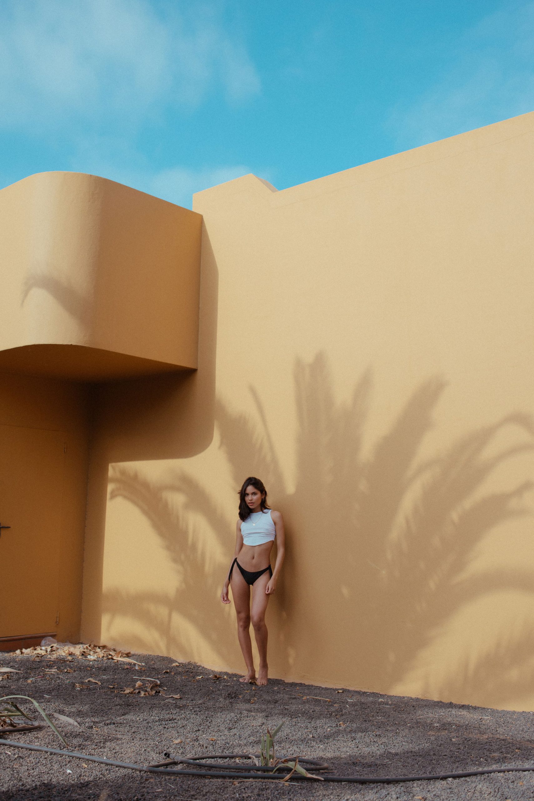 bxa0pp19clp bxa0pp19clp